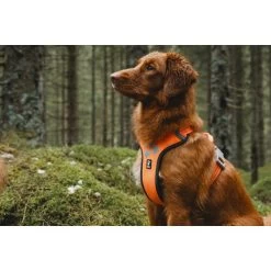 Hurtta Weekend Warrior Geschirr -Hundebedarfsgeschäft hurtta weekend warrior harness 189108 0500 none