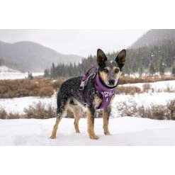 Hurtta Weekend Warrior Geschirr -Hundebedarfsgeschäft hurtta weekend warrior harness 189111 0500 none