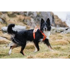 Hurtta Weekend Warrior Geschirr -Hundebedarfsgeschäft hurtta weekend warrior harness 189123 0500 none