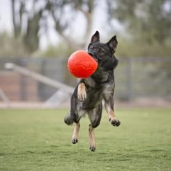 Jolly Soccer Ball -Hundebedarfsgeschäft jolly soccer ball 162241 0500 none