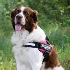 Julius K9 IDC Powergeschirr 18 Julius K9 IDC Powergeschirr -Hundebedarfsgeschäft julius k9 idc powertuig 192695 0500 none