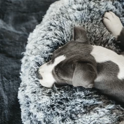 Kentucky Dogwear - Comfort Donut-Hundekorb -Hundebedarfsgeschäft kentucky dogwear comfort donut hondenmand 219723 0500 none