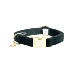 Kentucky Dogwear Corduroy Hundehalsband -Hundebedarfsgeschäft kentucky dogwear corduroy hondenhalsband 219194 0500 none