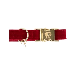 Kentucky Dogwear Corduroy Hundehalsband -Hundebedarfsgeschäft kentucky dogwear corduroy hondenhalsband 219199 0500 none