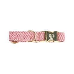Kentucky Dogwear Hundehalsband Wool -Hundebedarfsgeschäft kentucky dogwear hondenhalsband wool 219709 0500 none