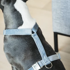 Kentucky Dogwear Hundegeschirr Velvet Loop 14 Kentucky Dogwear Hundegeschirr Velvet Loop -Hundebedarfsgeschäft kentucky dogwear hondenharnas velvet loop 219286 0500 none