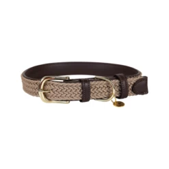 Kentucky Dogwear Nylon Hundehalsband 12 Kentucky Dogwear Nylon Hundehalsband -Hundebedarfsgeschäft kentucky dogwear nylon hondenhalsband 219176 0500 none