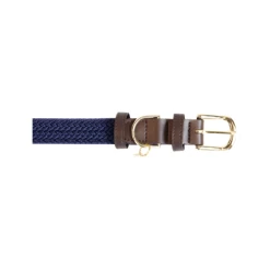 Kentucky Dogwear Nylon Hundehalsband 9 Kentucky Dogwear Nylon Hundehalsband -Hundebedarfsgeschäft kentucky dogwear nylon hondenhalsband 219177 0500 none