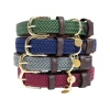 Kentucky Dogwear Nylon Hundehalsband -Hundebedarfsgeschäft kentucky dogwear nylon hondenhalsband 219181 0500 none