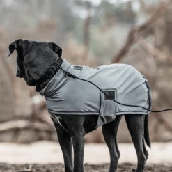 Kentucky Dogwear Soft Rubber Hundehalsband -Hundebedarfsgeschäft kentucky dogwear soft rubber hondenhalsband 219265 0500 none