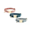 Kentucky Dogwear Velvet Hundehalsband -Hundebedarfsgeschäft kentucky dogwear velvet hondenhalsband 219233 0500 none