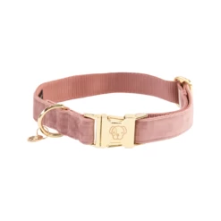 Kentucky Dogwear Velvet Hundehalsband -Hundebedarfsgeschäft kentucky dogwear velvet hondenhalsband 219234 0500 none