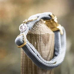 Kentucky Dogwear Velvet Hundehalsband -Hundebedarfsgeschäft kentucky dogwear velvet hondenhalsband 219236 0500 none