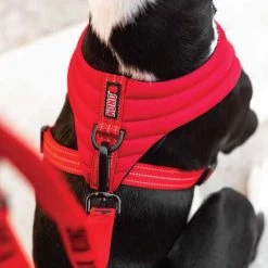 KONG Comfort Harness -Hundebedarfsgeschäft kong comfort harness zwart 178774 0500 none