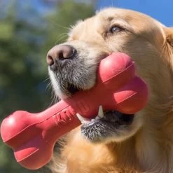 KONG Goodie Bone -Hundebedarfsgeschäft kong goodie bone 194186 0500 none