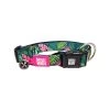 Max & Molly Smart ID Halsband Tropical -Hundebedarfsgeschäft max molly smart id halsband tropical 184288 0500 none