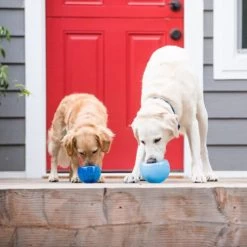 Planet Dog Orbee-Tuff Lil’ Snoop Toy -Hundebedarfsgeschäft orbee tuff lil snoop toy 203408 0500 none