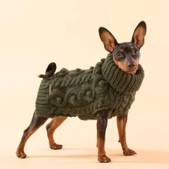 PAIKKA Handmade Knit Sweater 15 PAIKKA Handmade Knit Sweater -Hundebedarfsgeschäft paikka handmade knit sweater green 217735 0500 none