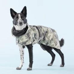 PAIKKA Recovery Raincoat Camo -Hundebedarfsgeschäft paikka recovery raincoat camo 217730 0500 none