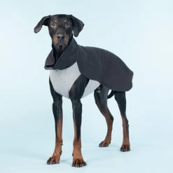 PAIKKA Recovery Winter Shirt -Hundebedarfsgeschäft paikka recovery winter shirt 217788 0500 none