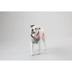 PAIKKA Recovery Winter Shirt -Hundebedarfsgeschäft paikka recovery winter shirt 217791 0500 none
