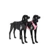 PAIKKA Visibility Harness 2 PAIKKA Visibility Harness -Hundebedarfsgeschäft paikka visibility harness 217813 0500 none