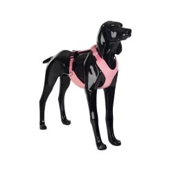 PAIKKA Visibility Harness -Hundebedarfsgeschäft paikka visibility harness 217814 0500 none