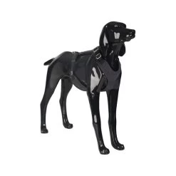 PAIKKA Visibility Harness -Hundebedarfsgeschäft paikka visibility harness 217815 0500 none