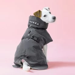 PAIKKA Visibility Winter Jacket -Hundebedarfsgeschäft paikka visibility winter jacket 217797 0500 none