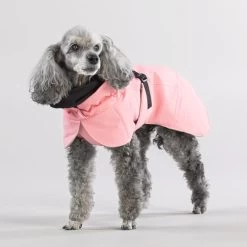 PAIKKA Visibility Winter Jacket -Hundebedarfsgeschäft paikka visibility winter jacket 217799 0500 none