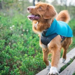 Pomppa Jumppa -Hundebedarfsgeschäft pomppa jumppa 190573 0500 none