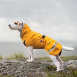 Pomppa Perus Hundejacke -Hundebedarfsgeschäft pomppa perus hondenjas 215735 0500 none
