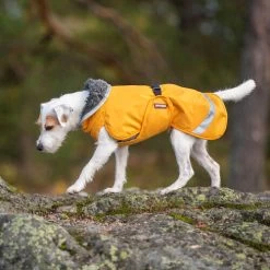 Pomppa Perus Hundejacke -Hundebedarfsgeschäft pomppa perus hondenjas 215738 0500 none