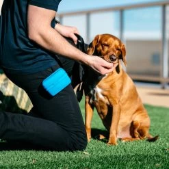 Popware Pooch Pouch Treatbag -Hundebedarfsgeschäft popware pooch pouch treatbag 164698 0500 none