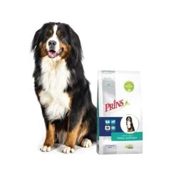 Prins ProCare Croque Renal Support -Hundebedarfsgeschäft prins procare croque renal support 171433 0500 none