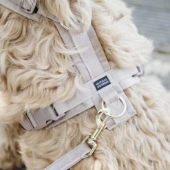 Kentucky Dog Harness Active Velvet -Hundebedarfsgeschäft prod 15744 218987 0500 none