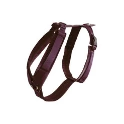 Kentucky Dog Harness Active Velvet -Hundebedarfsgeschäft prod 15744 218988 0500 none