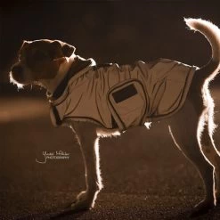 Kentucky Hundemantel Reflective & Waterrepellent -Hundebedarfsgeschäft prod 15746 219015 0500 none