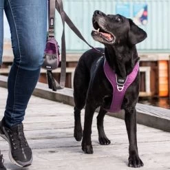 DOG Copenhagen Comfort Walk Pro Geschirr -Hundebedarfsgeschäft prod 15938 220297 0500 none
