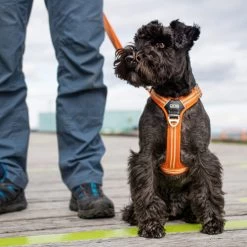 DOG Copenhagen Comfort Walk Air Geschirr -Hundebedarfsgeschäft prod 15939 220308 0500 none