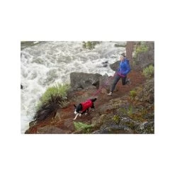 Ruffwear Roamer Leash - Blue Atoll -Hundebedarfsgeschäft prod 5446 89541 0500 none