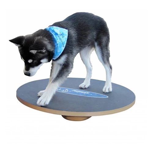FitPAWS Wobble Board 3 FitPAWS Wobble Board