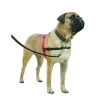 Halti Geschirr 2 Halti Geschirr -Hundebedarfsgeschäft product halti harnas none 4 1469182826 71674