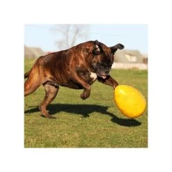 Jolly Egg -Hundebedarfsgeschäft product jolly egg none 4 1496839893 86965