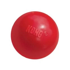 KONG Ball -Hundebedarfsgeschäft product kong ball none 4 1466058812 69915