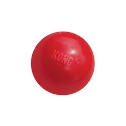 KONG Ball -Hundebedarfsgeschäft product kong ball none 4 1466058813 69918