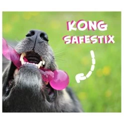 KONG Safestix -Hundebedarfsgeschäft product kong safestix none 4 1458633926 66969