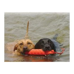 KONG Training Dummy 13 KONG Training Dummy -Hundebedarfsgeschäft product kong training dummy none 4 1469627104 71971