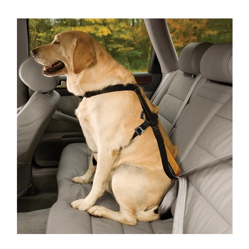 Kurgo Enhanced Tru-Fit Smart Harness – Bild 2