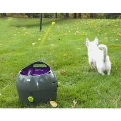 PetSafe Automatischer Ballwerfer -Hundebedarfsgeschäft product petsafe ball launcher none 4 1472637635 77137